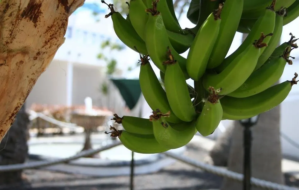 Aqua Suites Puerto del Carmen  Spain